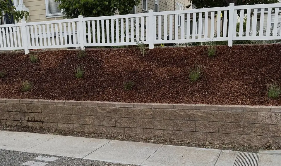 After: Front slope: overgrown dry weeds cleared, fresh mulch and new plantings.